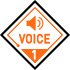 VOICE 1