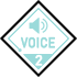 VOICE 2