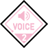 VOICE 2