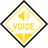 VOICE 1