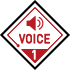 VOICE 1
