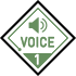 VOICE 1